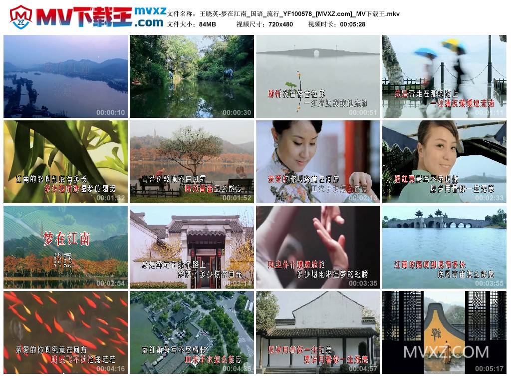 王晓英-梦在江南_国语_流行_YF100578